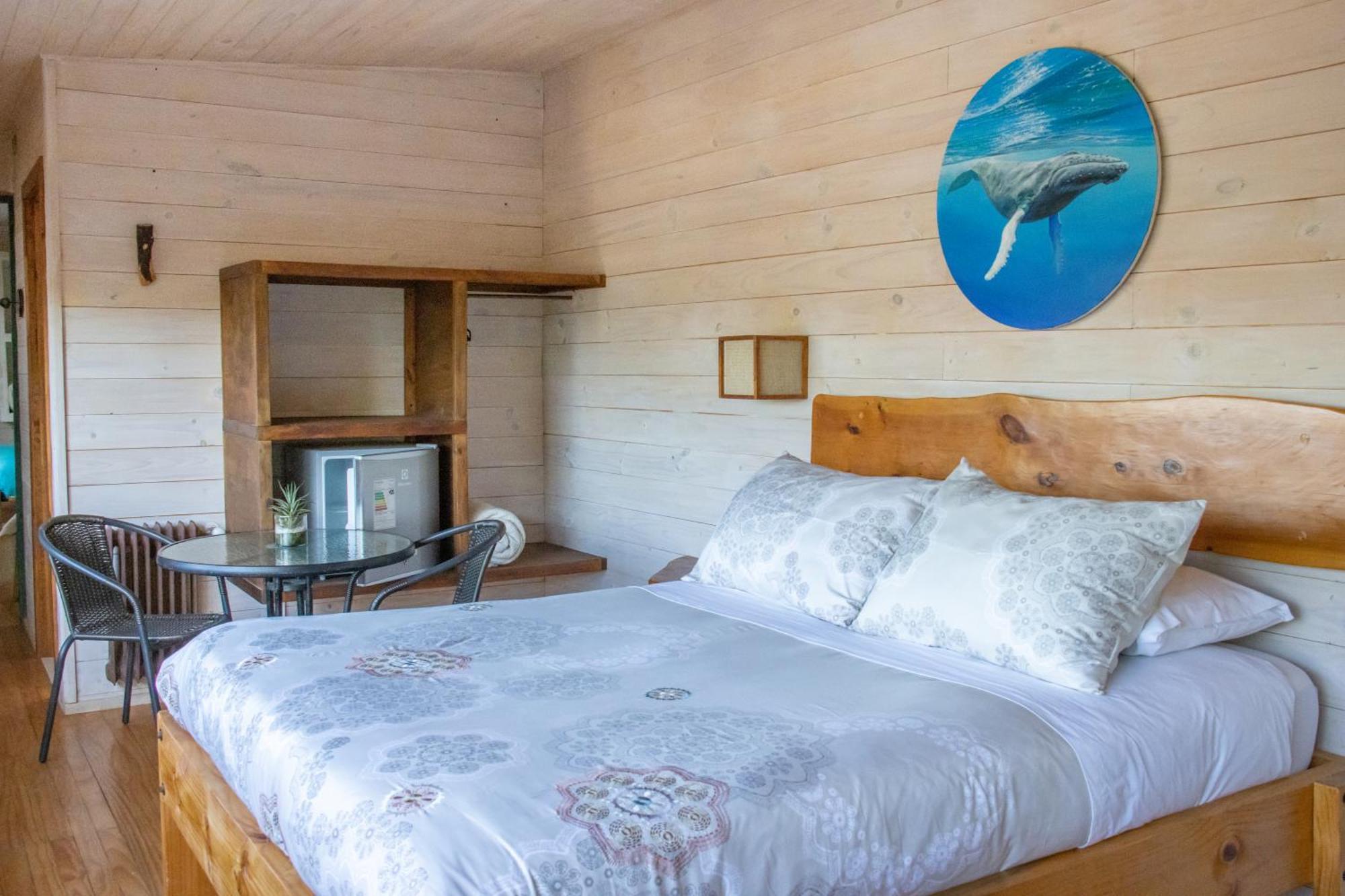 Hostal Sirena Pichilemu Bagian luar foto